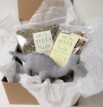 Load image into Gallery viewer, Gift Box with Organic Plush Toy